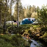 Cosy Avec Cuisine Equipee - Api-1-52-760 Camping *
