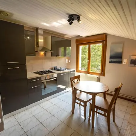 Cosy Avec Cuisine Equipee - Api-1-52-760 营地 Granges-Aumontzey