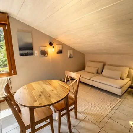 Cosy Avec Cuisine Equipee - Api-1-52-760 * Granges-Aumontzey