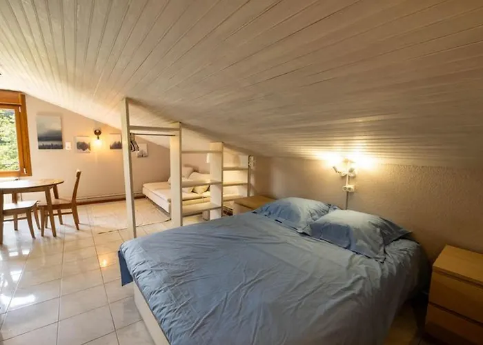 Cosy Avec Cuisine Equipee - Api-1-52-760 Kamp alanı