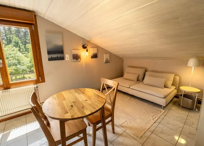 Cosy Avec Cuisine Equipee - Api-1-52-760 * Granges-Aumontzey