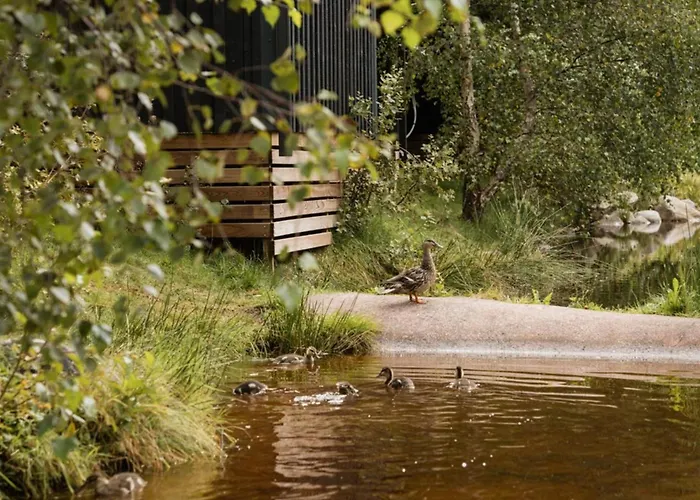 Cosy Avec Cuisine Equipee - Api-1-52-760