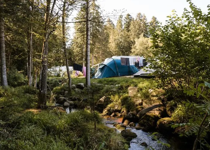 Cosy Avec Cuisine Equipee - Api-1-52-760 Camping *