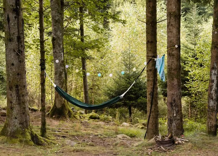 Camping Cosy Avec Cuisine Equipee - Api-1-52-760 *